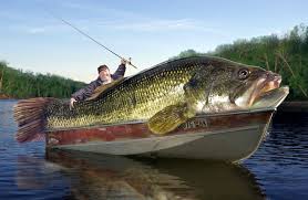 Fishing Pictures